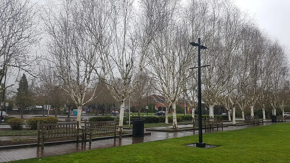 Beaverton City Fountain Park, Oregon, photographed March 13, 2022. Location context; Halloween activity is not pictured.