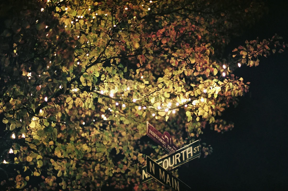 Street signs and illuminated trees at Fourth and Main in Gresham, Oregon, photographed December 6, 2010. Location context; Halloween activity is not pictured.